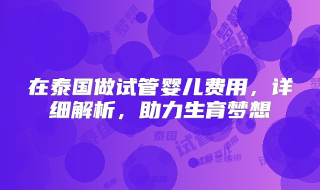 在泰国做试管婴儿费用，详细解析，助力生育梦想