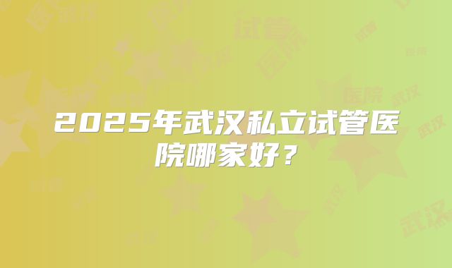 2025年武汉私立试管医院哪家好？