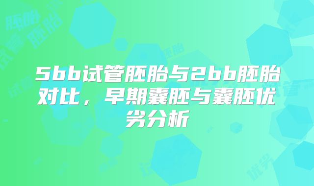 5bb试管胚胎与2bb胚胎对比，早期囊胚与囊胚优劣分析