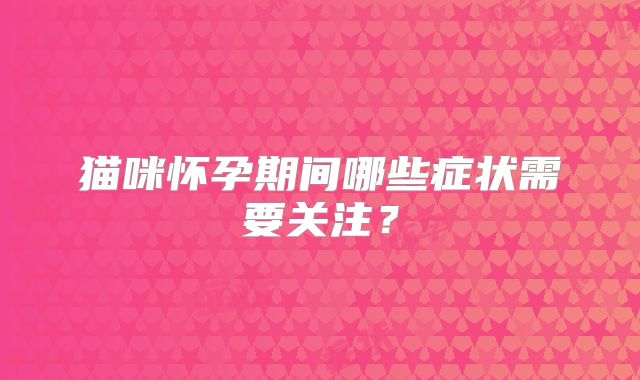 猫咪怀孕期间哪些症状需要关注？