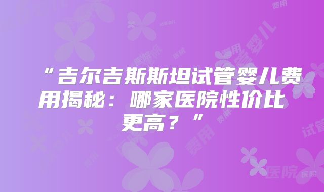 “吉尔吉斯斯坦试管婴儿费用揭秘：哪家医院性价比更高？”
