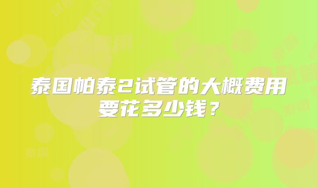 泰国帕泰2试管的大概费用要花多少钱?